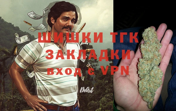 apvp Белокуриха