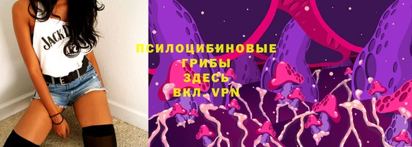 apvp Белокуриха
