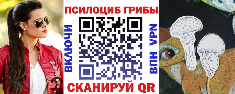 как найти закладки  Пикалёво  Псилоцибиновые грибы Cubensis 